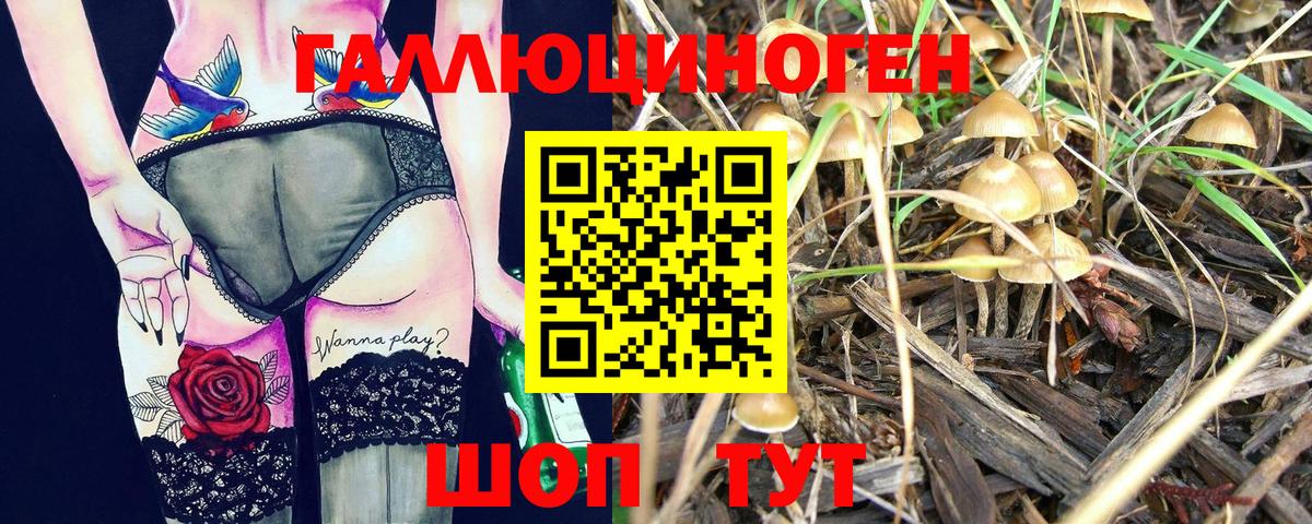 Галлюциногенные грибы Magic Shrooms Сочи