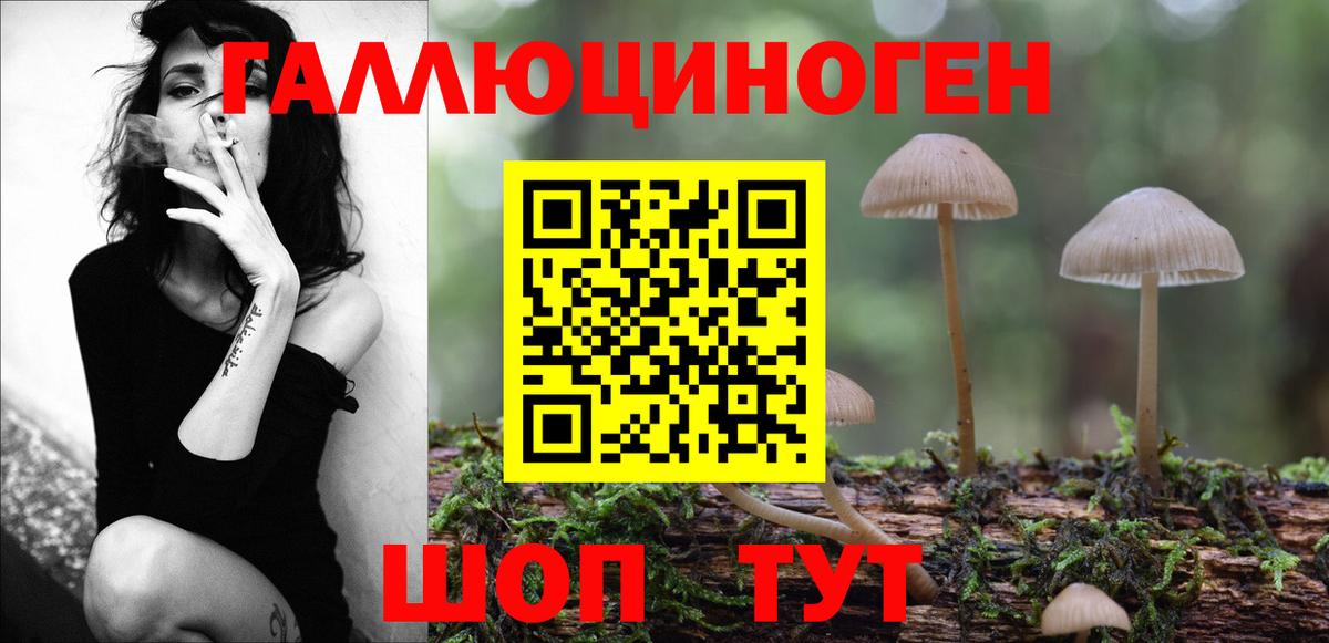 Галлюциногенные грибы ЛСД  Галлюциногенные грибы прущие грибы  Сочи  Вход с VPN 